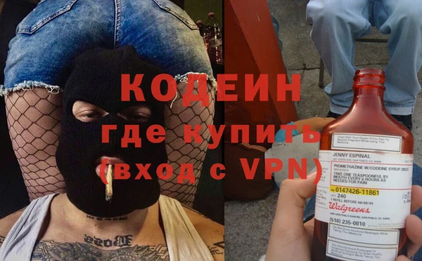 хмурый Верея