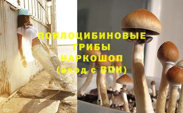 трава Бородино