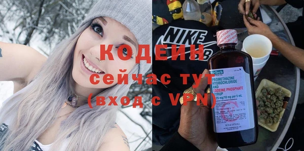 хмурый Верея